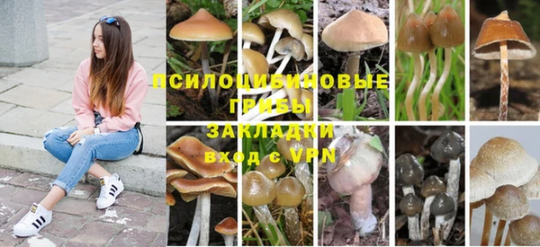 герыч Няндома