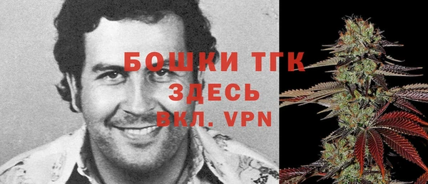 прущие грибы Абдулино