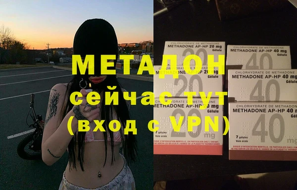 прущие грибы Абдулино
