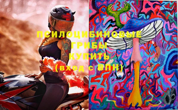 дмт Абинск