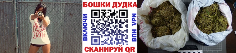 Шишки марихуана сатива  hydra как войти  Ясный 